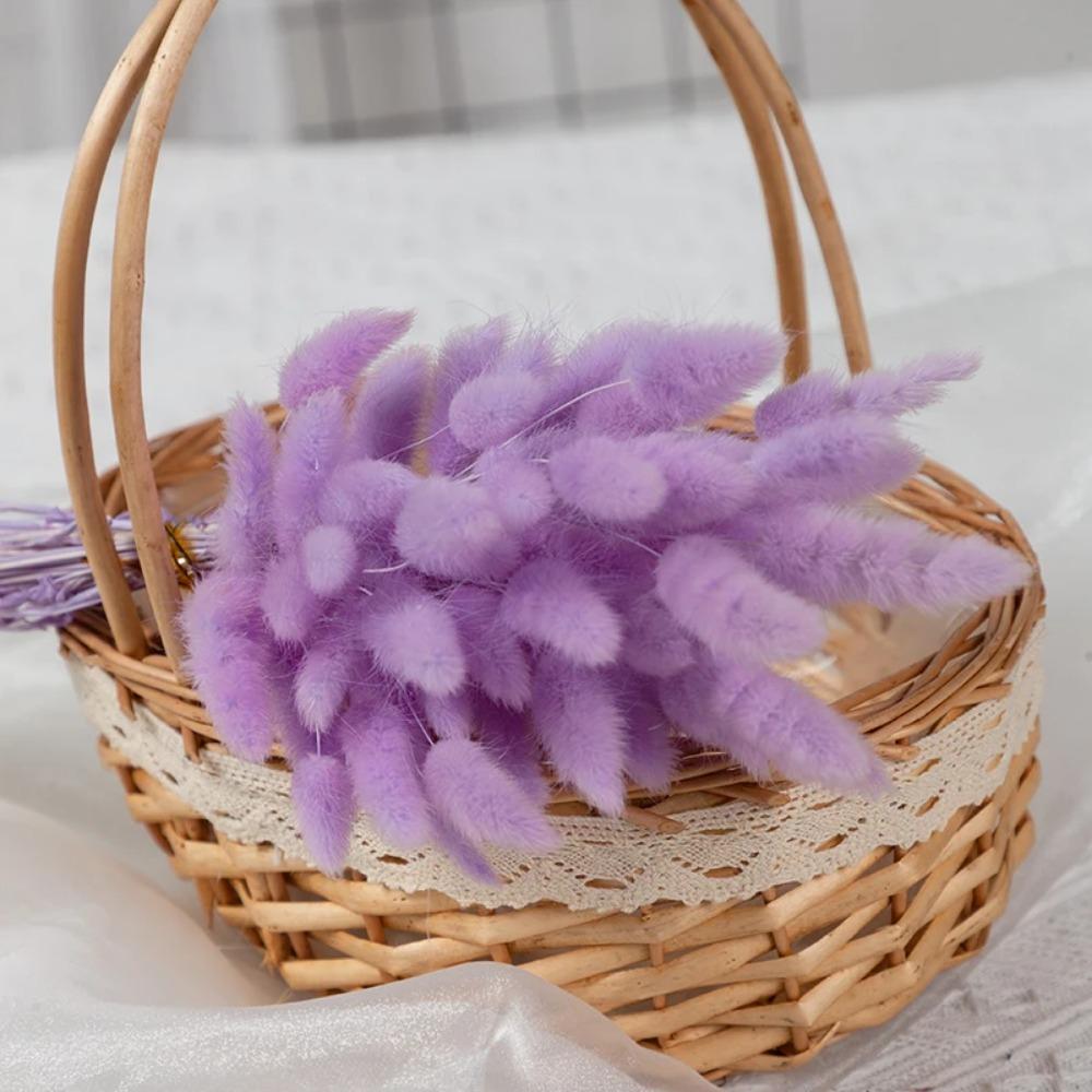 50Pcs Fluffy Bunny Rabbit Tail Grass Dried Flowers Bouquet Wedding Christmas Decor Natural Pampas Boho Home Autumn Decoration