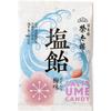Eitairo Salt Candy Slightly Plum Flavor 70g