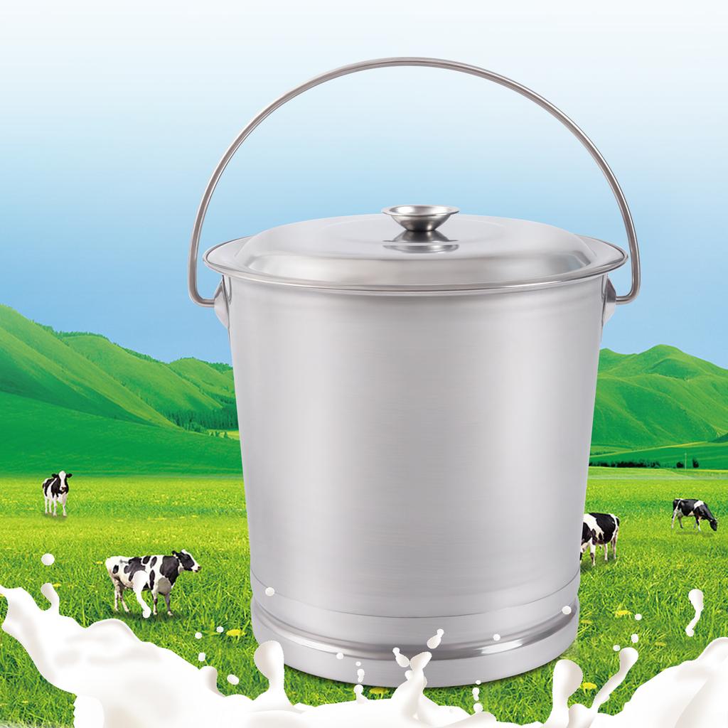 Stainless Steel Bucket with Lid, 8L/8.5Qt, Multi-Purpose Pail for Milk, Compost, Kitchen - Wide Open Lip & Comfortable Handle
