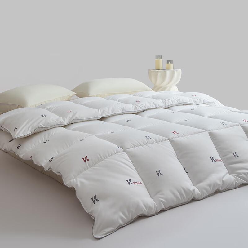 

Muji Pro 2.0 Goose Velvet Quilt