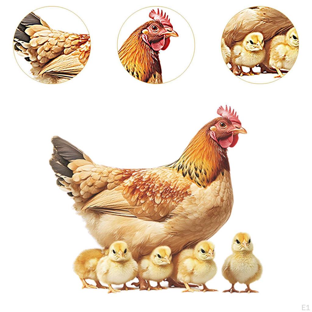 Hühner Wandaufkleber Kunst Dekor Hähne Hennen Verschleißfest Fenster PVC Tapete für