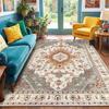 Persian Ethnic Style Living Room Carpet & Soft Home Blanket