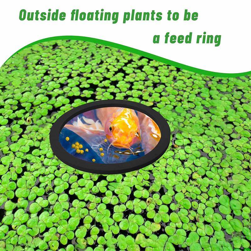 5 Piezas Anillos para Acuario Anillos Alimentadores para Peces Corral para Plantas Flotantes Soporte Flotante de Eva para Plantas Acuáticas Anillos para Plantas Círculo Alimentador para Peces