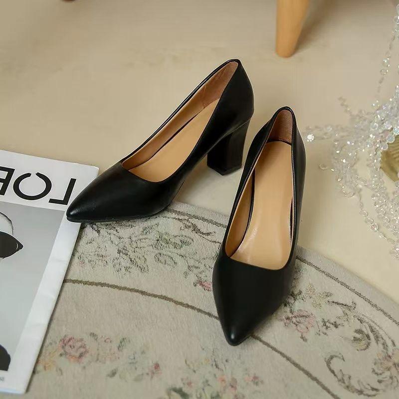 Small pointed thick heel temperament high heels 2025 spring, summer and autumn not tired feet with skirt design sense niche single shoes