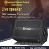 MALONE K-800 Portable Bluetooth Instrument Speaker for Live Stream & Karaoke CN plug (adapter included)
