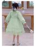 Girls' 2025 Spring/Autumn Long Sleeve Tulle Princess Dress - Perfect Birthday Gift for Middle Childhood