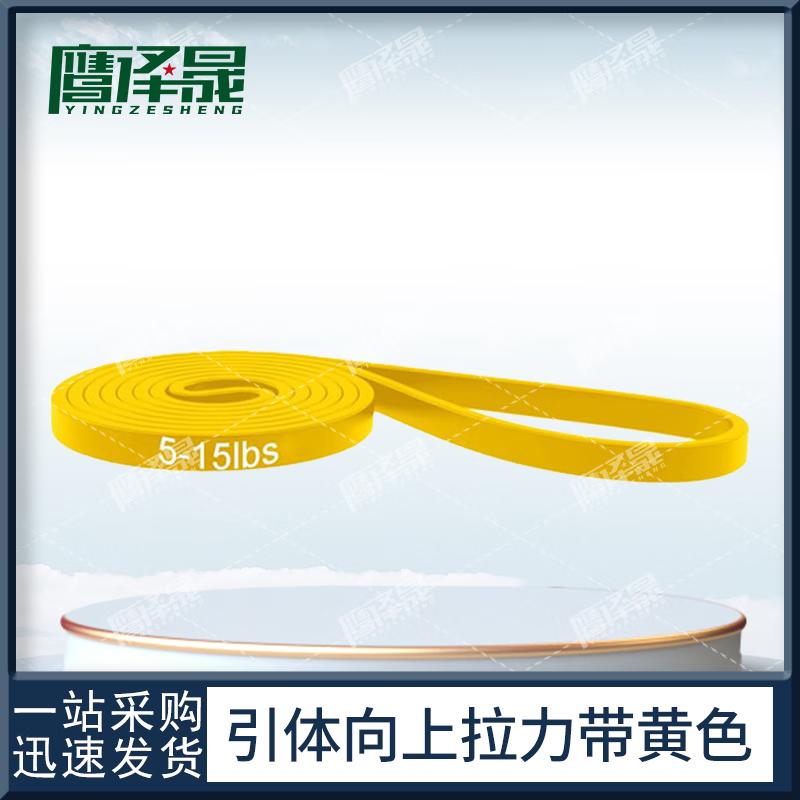 Fitness Pull-Up & Resistance Training Gear