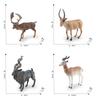 Faux Animal Exquisite Models With Impressive Detail Perfect For Display And Collection