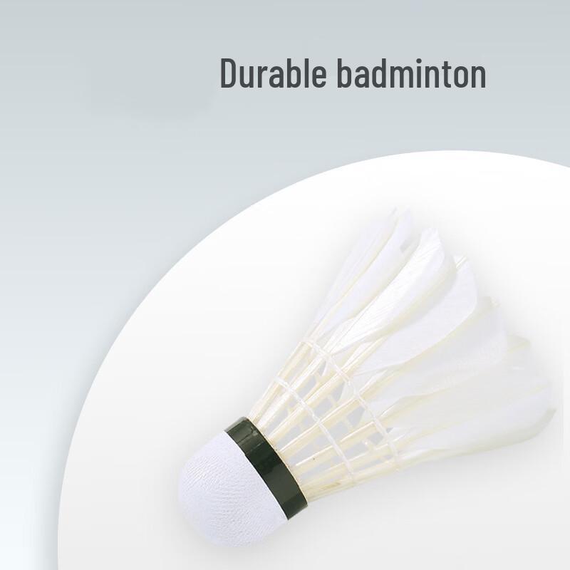 LISM Badminton Shuttlecocks