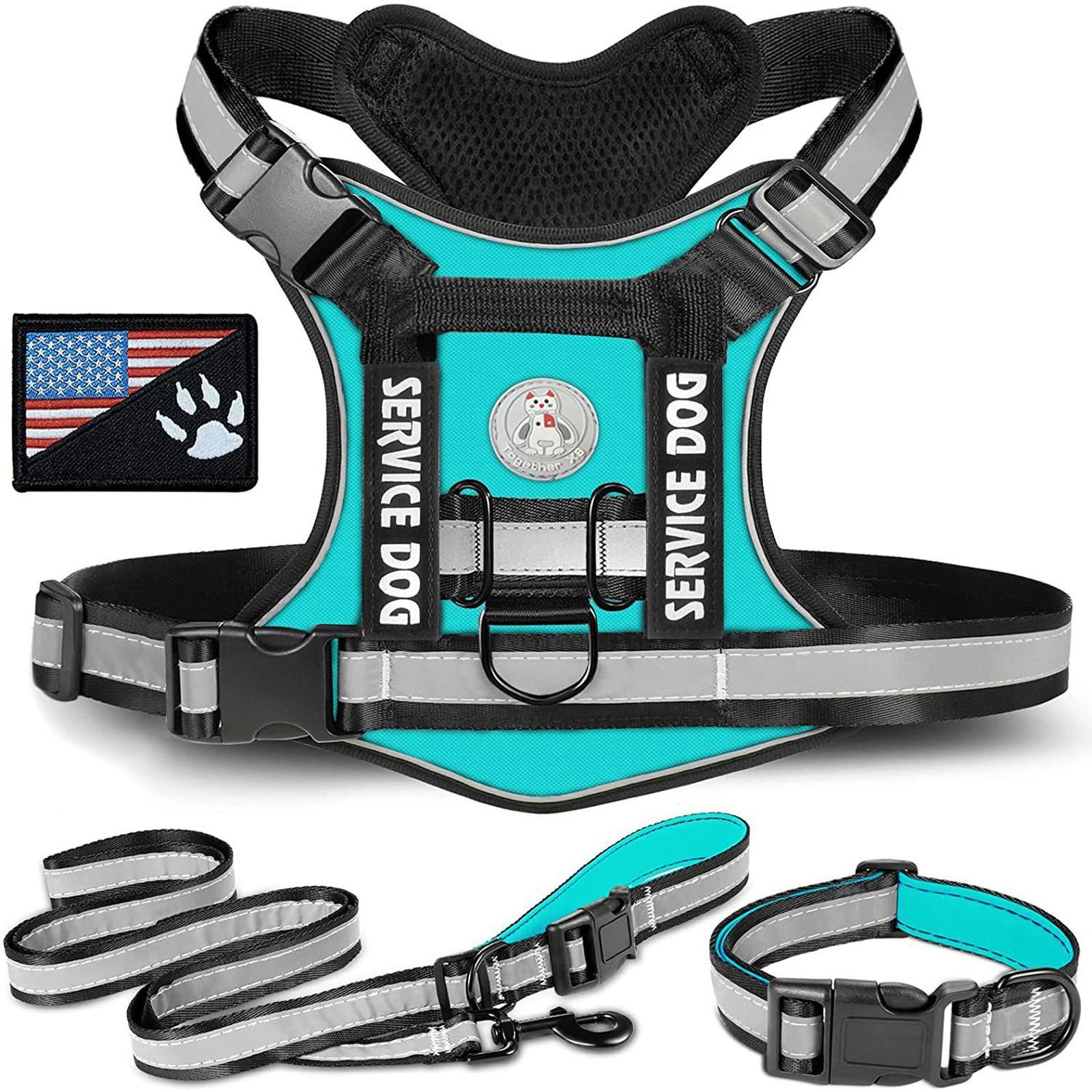 

Adjustable Pet Chest Strap With Outdoor Walking Training Vest ціан
