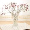 Toyo Sasaki Glass Flower Vase, Large, Frugole, Approx. 14.2 x 25.8 x 14.2 cm, Made in Japan, P-26356-JAN, Clear