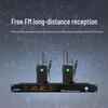 Xun Er Wei Professional Dual Wireless Conference Microphone System (CN version)
