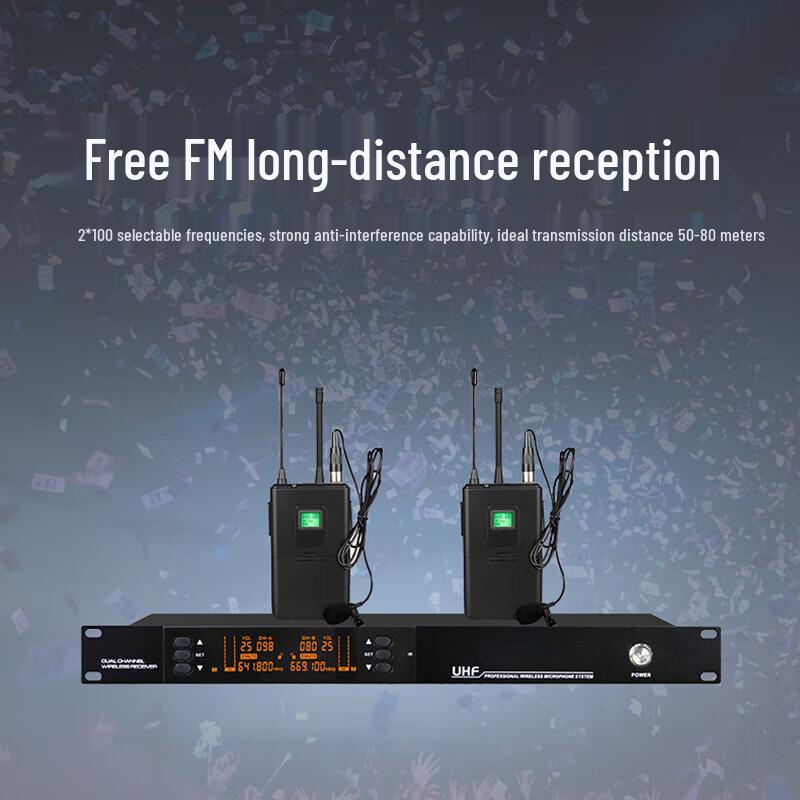 Xun Er Wei Professional Dual Wireless Conference Microphone System (CN version)