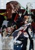 Clear File THE ART OF SWORD ART ONLINE (The Art of Sword Art Online) Compatible PKG Jacket 5