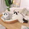 Kawaii Simulation Ragdoll Cat Plush Toy Soft Stuffed Kitten Cute Animals Home Decor Accompany Sleep Toy for Kids Birthday Gifts