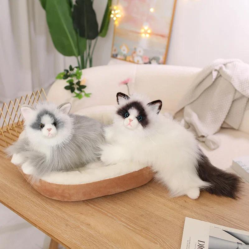 Kawaii Simulation Ragdoll Cat Plush Toy Soft Stuffed Kitten Cute Animals Home Decor Accompany Sleep Toy for Kids Birthday Gifts