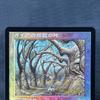 Foil Arcane Signet Old Frame Nazgûl Gaea'S Cradle Jp Volrath'S Stronghold Tcg Cusom English Card Quality Board Trading Card Game