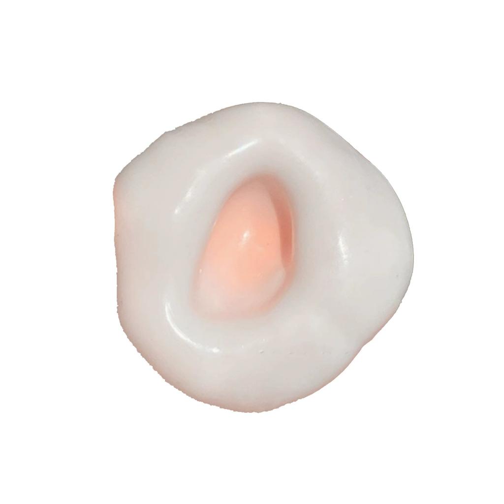 Dental Model Tooth Crown Restoration Practice Model for Dental Laboratory and Educational Training Use