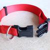 Adjustable Dog Puppies Cat Pet Safety Collar Neck Strap Outdoors Accessories