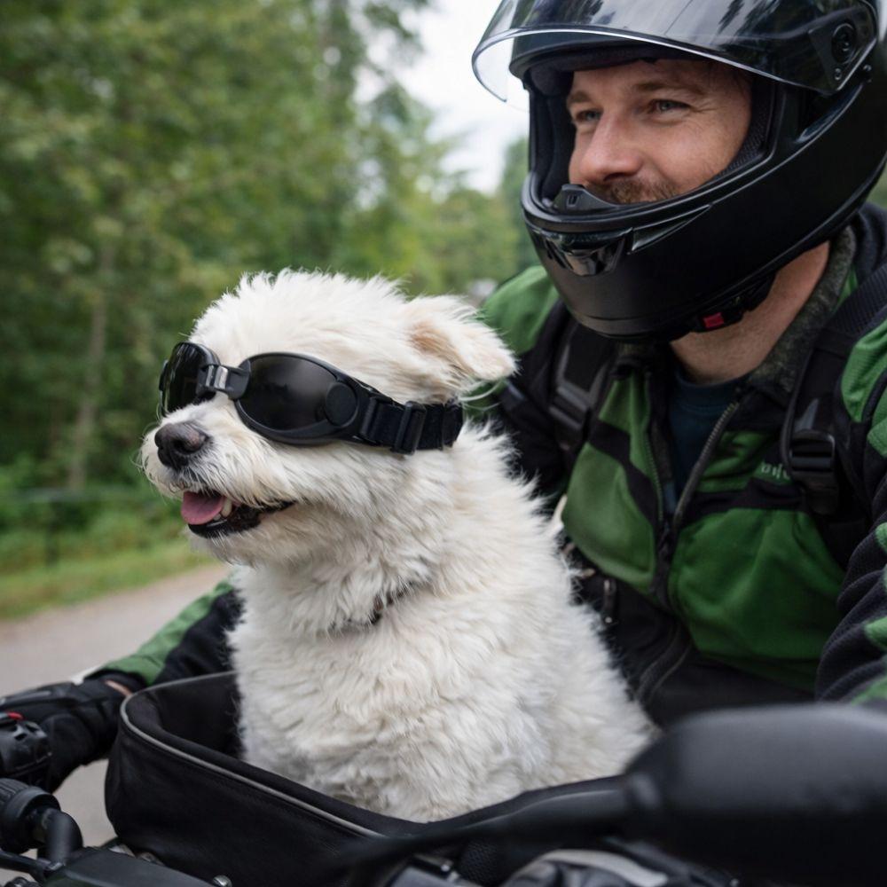 Dustproof Pet Waterproof Glasses Windproof Dog Eye Wear Fashion Anti UV Pet Goggles  Summer Use