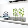 Glass Hob Protector 3x30x52
