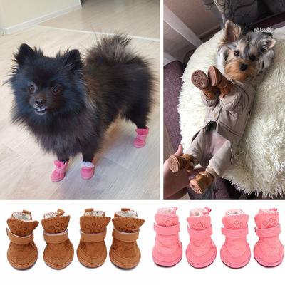Giyim ve ayakkabı – Köpek ayakkabıları