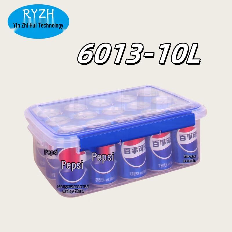 RYZH 10L Large Transparent Storage Box
