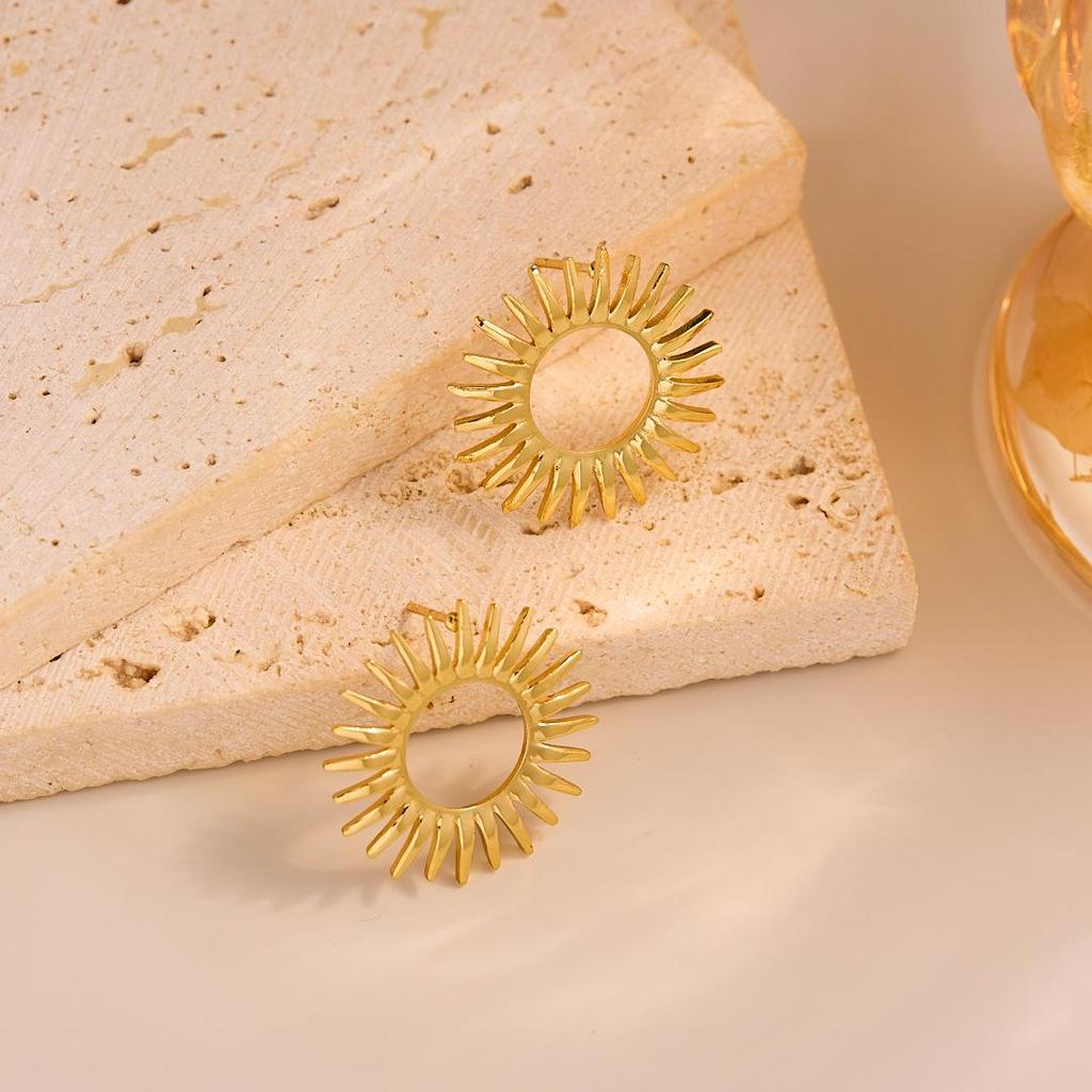 Geometric Irregular 18k Gold Titanium Steel Earrings for Women