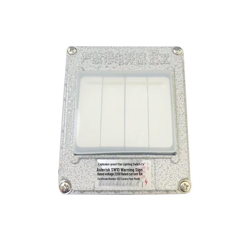 CXFB SW-10 Explosion-Proof Double-Control Wall Switch