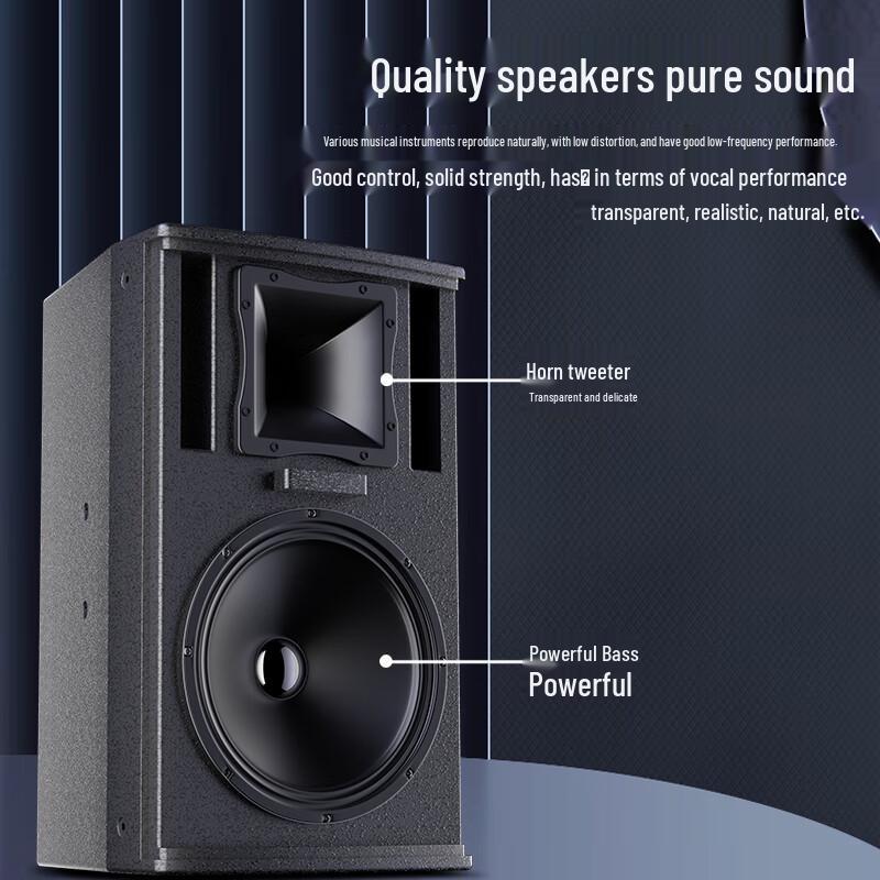 Huidu MR-101 Professional Full-range Stage Speaker CN plug (adapter included)