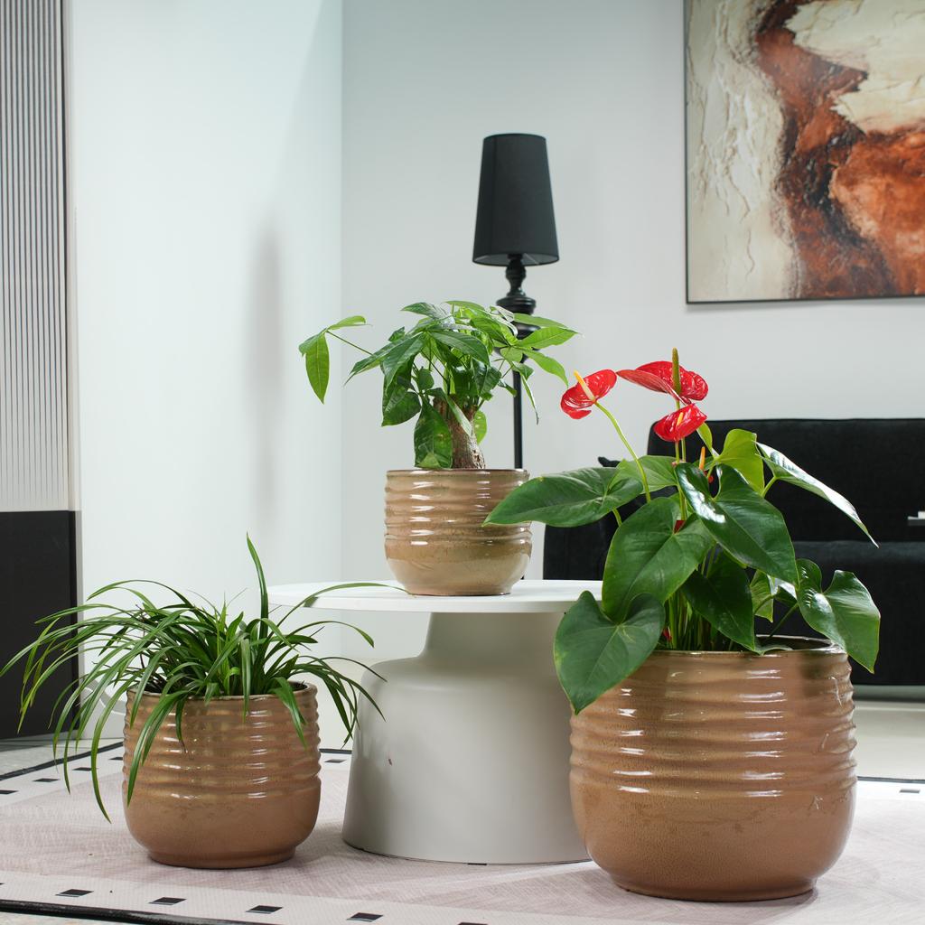 Single Handmade Ceramic Planter (diameter 36 cm), Light Brown, Wave Groove Structure, Breathable, Frost-Resistant