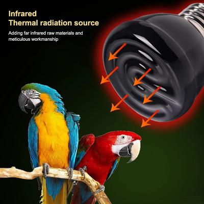 E27 Pet Heating Lamp With Anti-Scalding Lampshade For Turtle Snake Lizard Infrared Ceramic Emitter Heat Light 25/50/75/100W