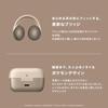 Anker Soundcore C50i Pokemon Collaboration Eevee Model Brown 2026