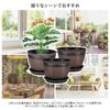 VECELO Planter Set (2 Pots): 19cm Wide X 14cm High. Plastic Planter with Saucer and Drainage Holes. Stylish Design for Succulents, Houseplants, and Ot