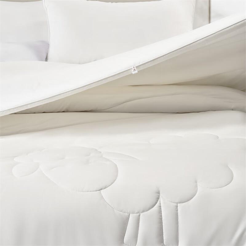 Mercury Home Textiles Silk Wool All-Season Duvet Set