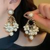 Fashion Pearl Fringed Stud Earrings Light Luxury High Sense Niche Earrings Temperament Versatile Earrings Women
