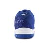 Mizuno Gate Sky Plus Shock Absorption Non-Slip Wear-Resistant Breathable Low-Top Badminton Shoes Unisex Sneaker Blue White 71GA204001