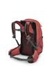Osprey Tempest 22L Lightweight Hiking Backpack Small Daypack for Travel Red Gray Women's - & Camping, Pampas/Coal