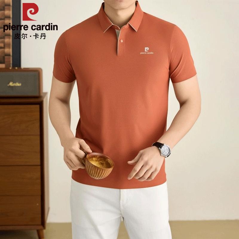 Pierre Cardin Men's Business Casual Anti-Wrinkle Polo Shirt