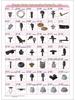 Dongfeng Heavy Vehicle Window Curtain Clip & Track Pulley.