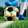 Maya the Bee Theme Size 5 Soccer Ball, Suitable for Both Indoor and Outdoor Matches, a Gift Suitable for Everyone.
