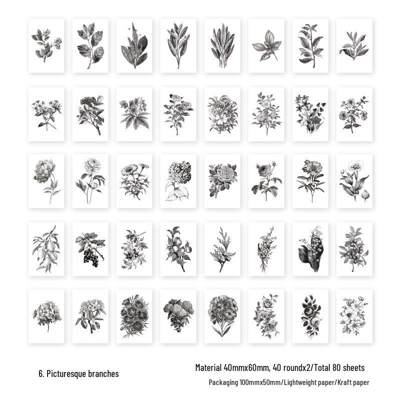 Twilight Bean Journal Sticker Set: Flowing Years & Fragmented Shadows Series - 8 Styles for Collage & Decoration