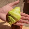 Slow Rising Croissant Squishy Toy Sticky Food Soft Rebound Toys Artificial Bread Fake  Kids Adults