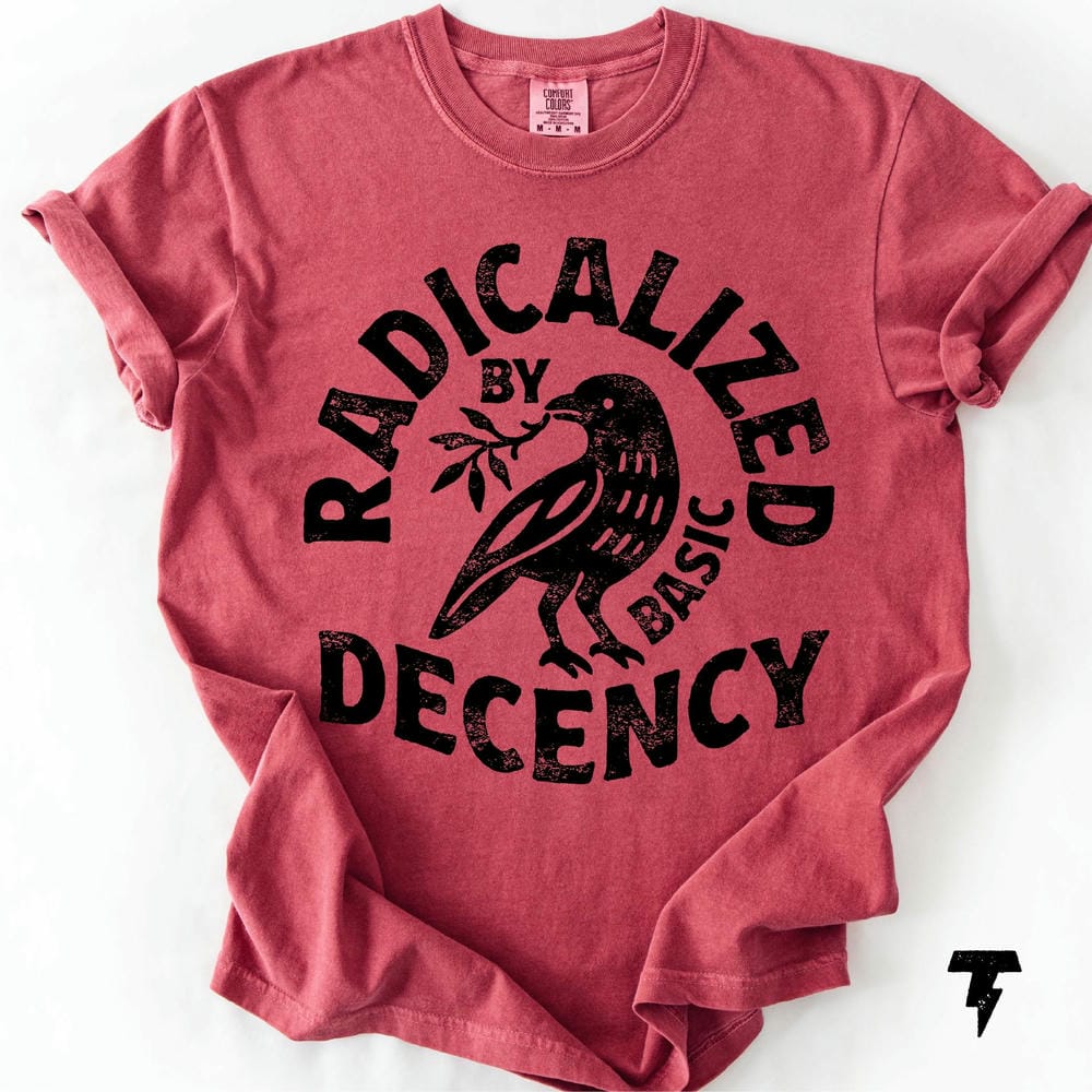 Vintage Women Radicalized by Basic Decency Unisex Comfort TShirt Dark Academia Shirt Crewneck Unisex Daily Y2K Top Streetwear