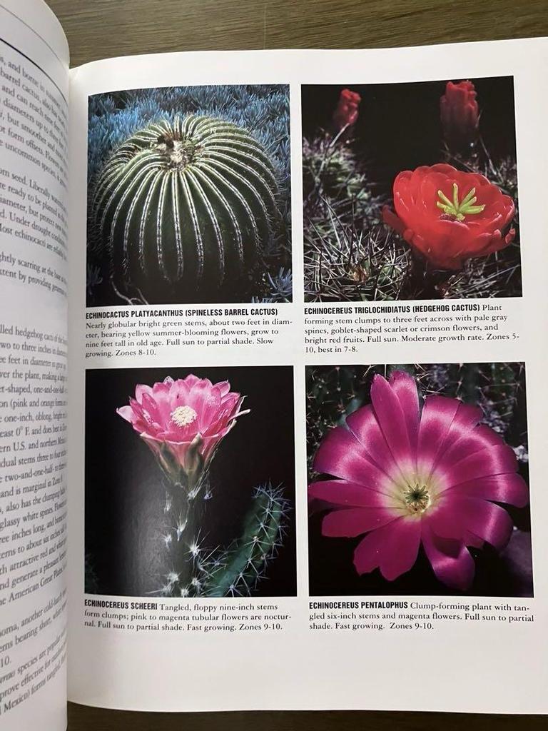 [USED] Dry Climate Gardening with Succulents