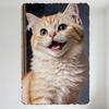 Fluffy Orange White Cat with Blue Eyes Surprised Expression Cute Lively Metal Tin Sign Decorative Wall Art for Home Office Bedro