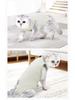 Breathable Post-Sterilization Pet Suit - Easy On/Off, Anti-Lick Weaning Clothes for Cats