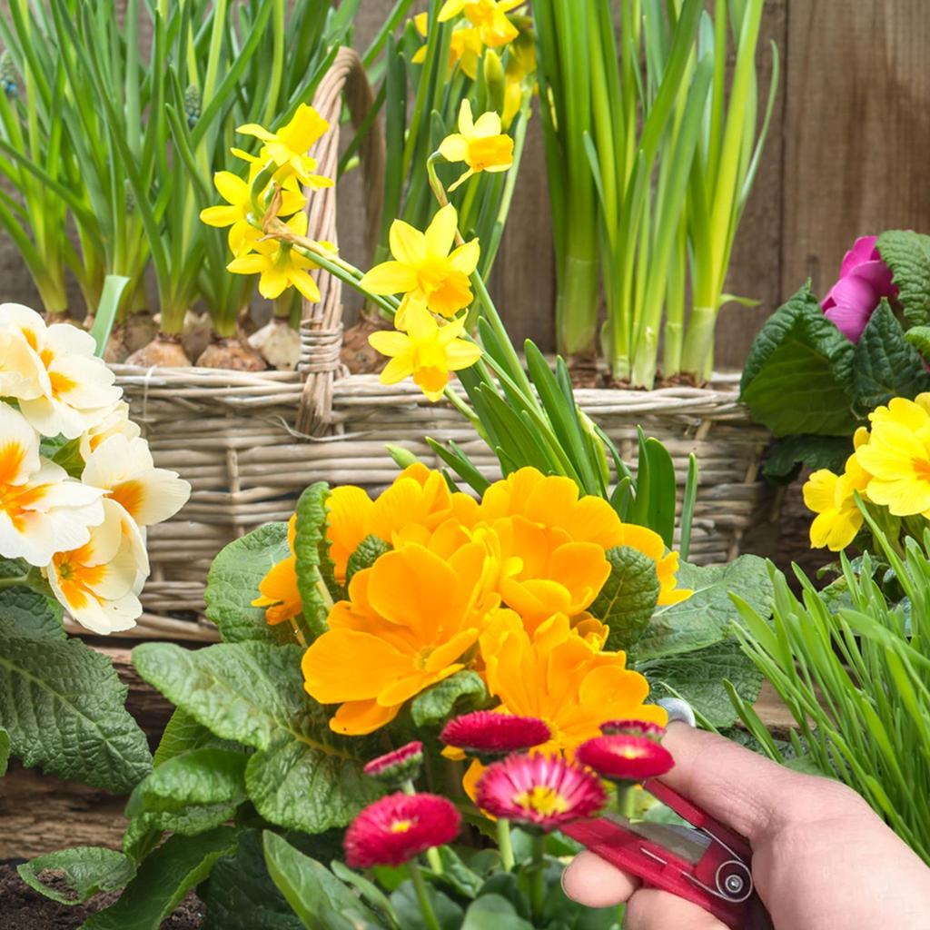 Red Vegetable Fruit Harvesting Picking Tool Vegetable Thump Knife Separator Gardening Thumb Pruner Farm Orchard Gardening Tools