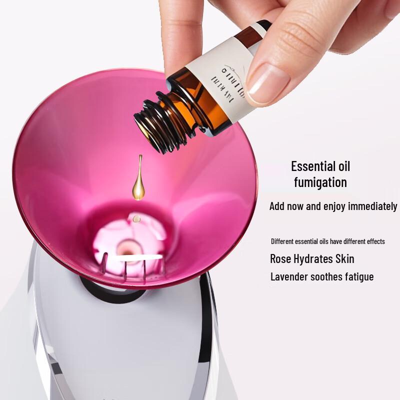 Kingdom Nano Ionic Facial Steamer CN plug (adapter included)
