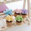 Fashion Hand Knitted Crochet Succulent Bonsai Flowers Potted Gifts  Office Party Decoration
